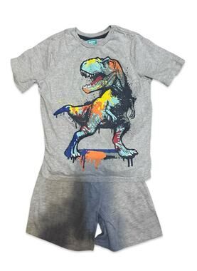 365 Kids Dinosaur Graphic T-Shirt & Carter's Gray Shorts Outfit Boys Size 8